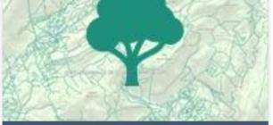 forêt