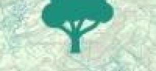 Logo GT Forêt